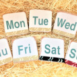 スピーチ原稿を書き上げたら1週間の冷却期間を置いてから推敲する